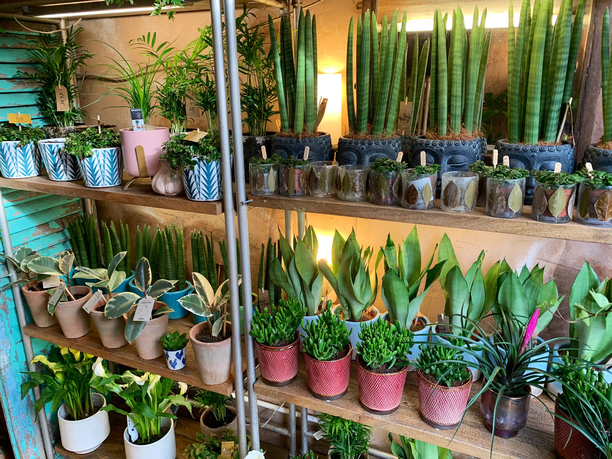 𝖸𝗈 𝖮𝗄𝖺𝖽𝖺 イギリスのロックダウン下で行ける場所が限られてる中 ガーデニングショップはほんと癒される キッチン用に小さい観葉植物を購入 ロンドン散歩 T Co Cr6vstl9fc Twitter