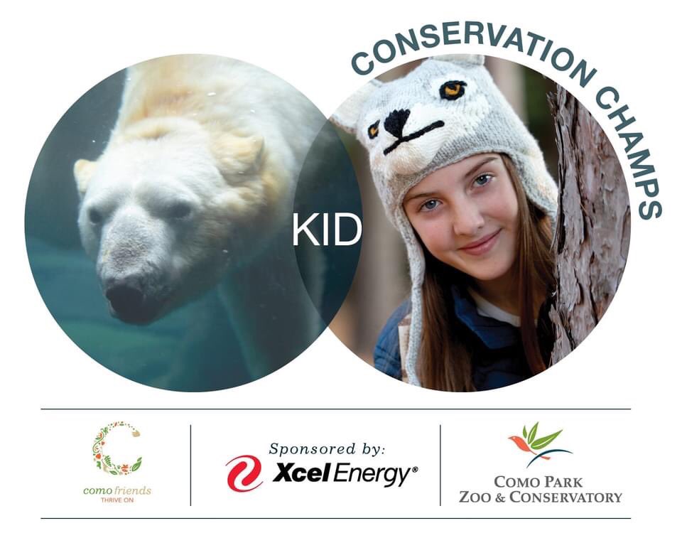 ComoFriends's tweet photo. We are excited to share the winners of the Kid Conservation Champs contest sponsored by @XcelEnergyMN! Lucy's painting of a Loggerhead Sea Turtle was chosen for 1st place by @ComoZoo Conservation Champions and Elliot was chosen as 2nd place with a beautiful picture of coral! https://t.co/jlRdnspEGi