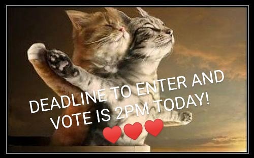 Our My Valentine Photo Contest ends today at 2pm! 
Don't forget to enter and share for a chance to win a $100 Door Dash gift card! The best part is that you'll be raising awareness about family homelessness and the mission of HFF!
https://t.co/X5ZB9r3yx8 https://t.co/A0lsPHGj2O