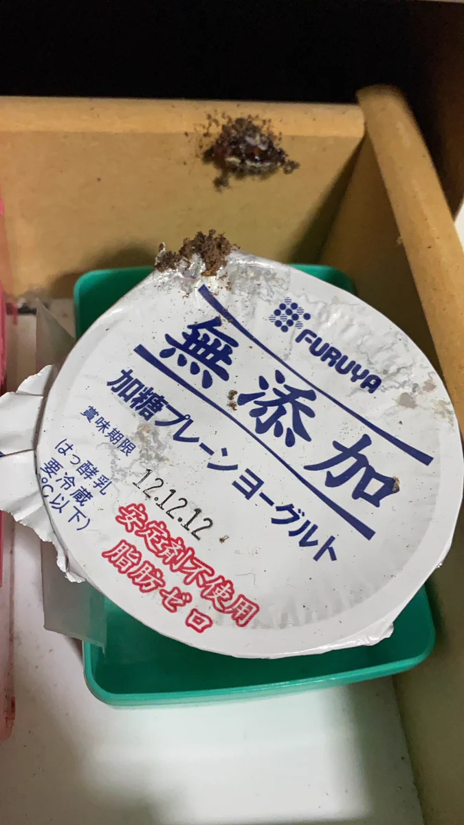 給食のヨーグルトを常温保存で大切に残した結果www何か生まれてる！！開封は本日！！