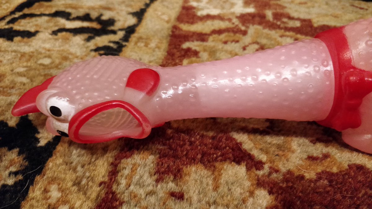 whenwherenilly's tweet image. #Maya.                   #Chicken