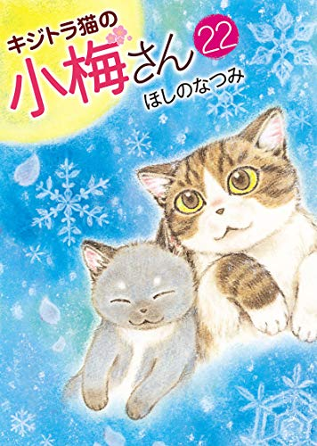 今すぐ読める！／ 『キジトラ猫の小梅さん』22巻／ほしのなつみ