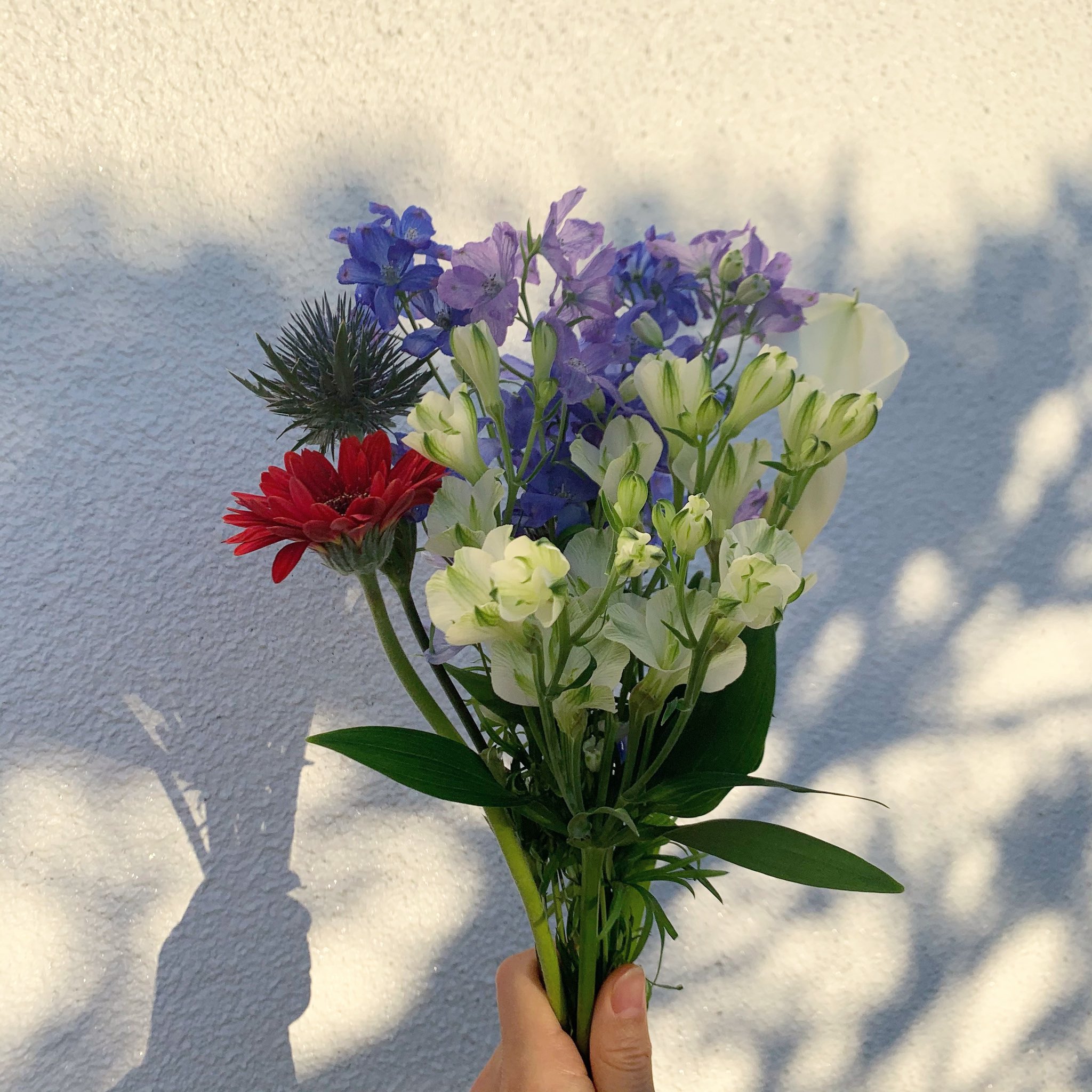 Jeunesse 花束言葉は あなたのことを深く愛せるかしら なんてことを思いながら 束ねた 夢の粒もすぐに弾くような逆上がりの世界を僕は見ている T Co Idqziw02it Twitter Jeunesse 花束言葉は あなたのことを深く愛せるかしら なんてことを思いながら 束ねた 夢の粒もすぐに弾くような逆上がりの世界を僕は見ている T Co Idqziw02it Twitter