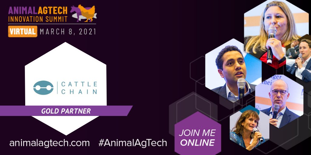 Cattlechain tweet media