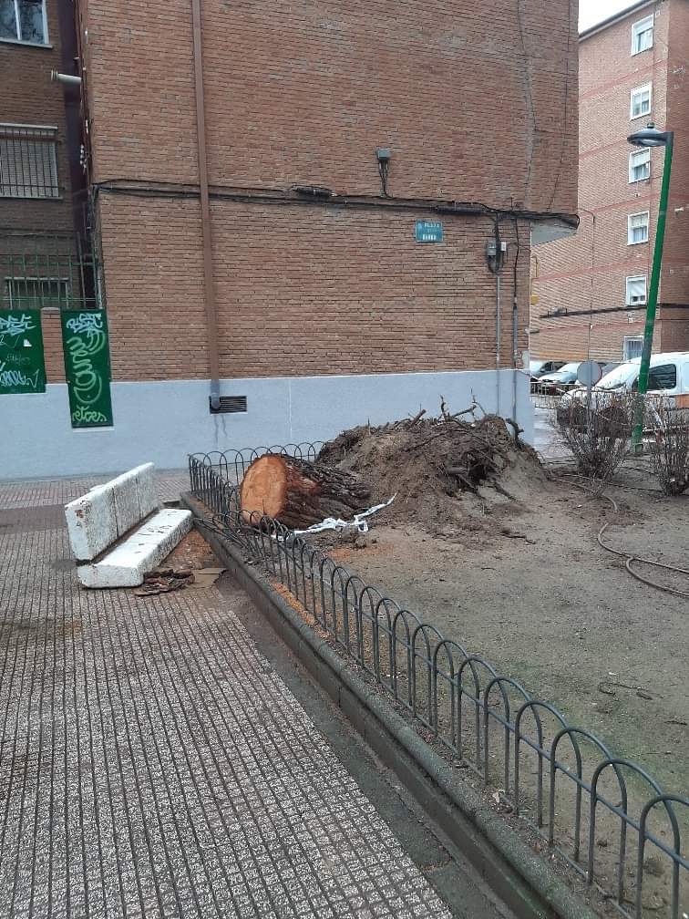 Muévete X Alcalá tweet media