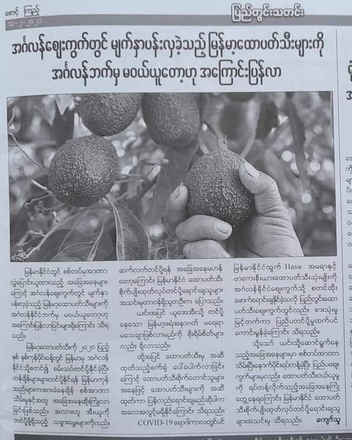 ShweSss's tweet photo. Avocado Peasants are now crying.
"Sanction" is not the good solution for us, only for you.
Please show your kindness.
As for a developing country, 
we only need Democracy.

#SaveMyanmar 
#MilkTeaAlliance  
@ACT 
@UN
@POTUS 
@BBCNews
#WhatsHappeningInMyanmar 
#WeNeedDemocracy https://t.co/fmlIoPdpgo