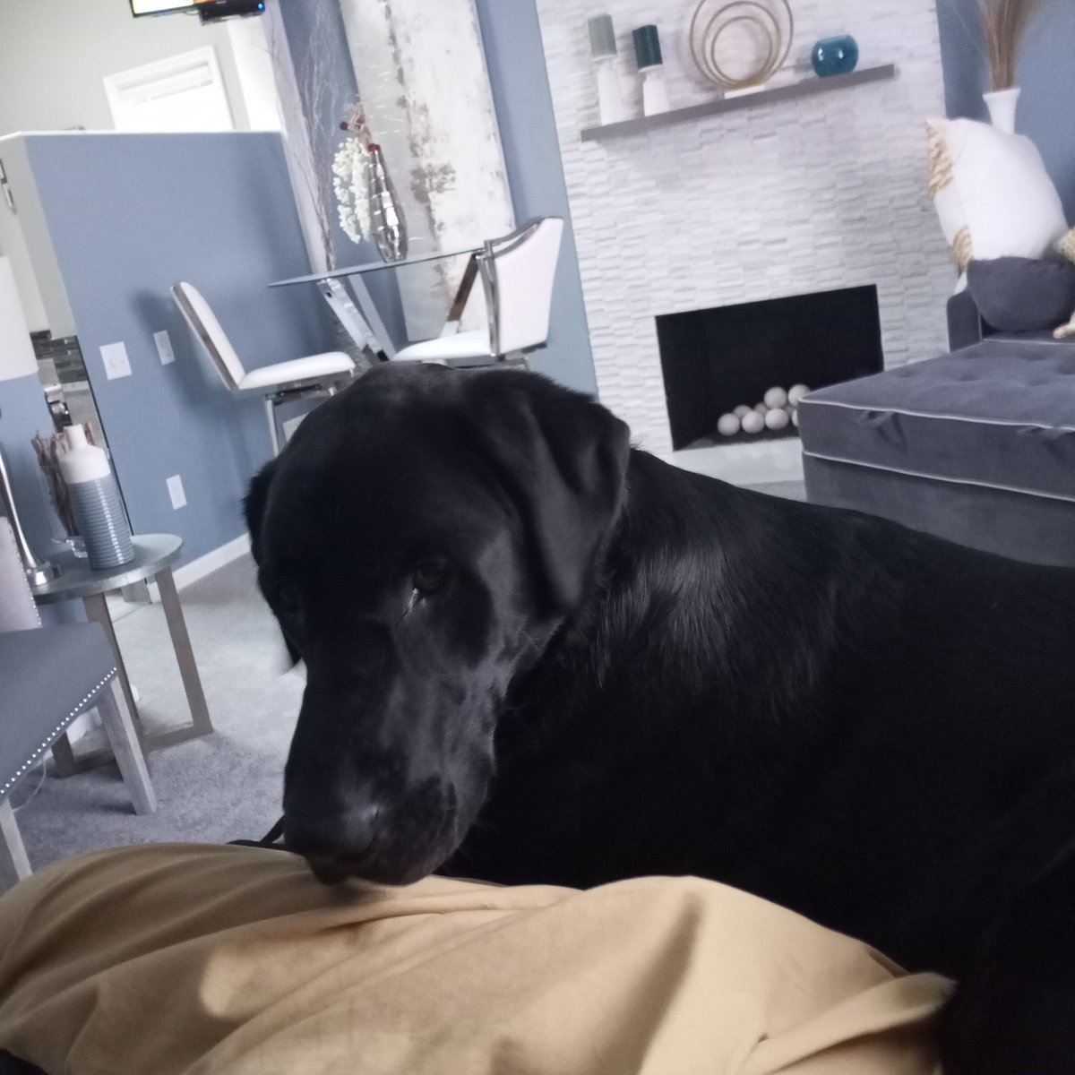 DrakeFowler16's tweet image. 