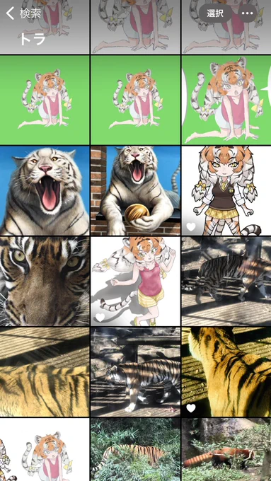 すまほの中に保存している写真、トラで検索するとトラが、イヌで検索するとイヌがちゃんと認識されて出てくるのすごいです 