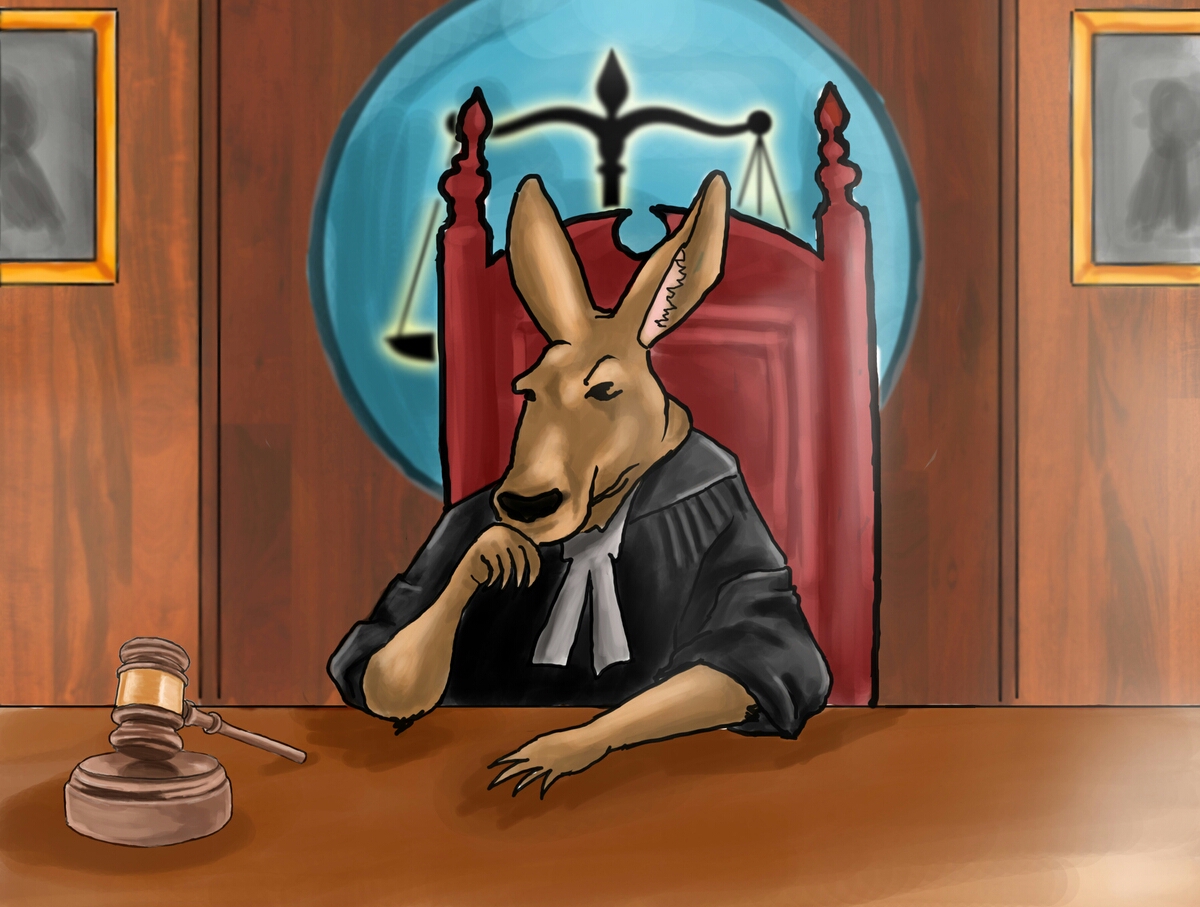 A Kangaroo Court is a bogus legal proceeding which disregards due process, the law and fairness in pursuit of expediency and desired outcomes, it is usually convened after orders from another similar Kangaroo proceeding[Thread]