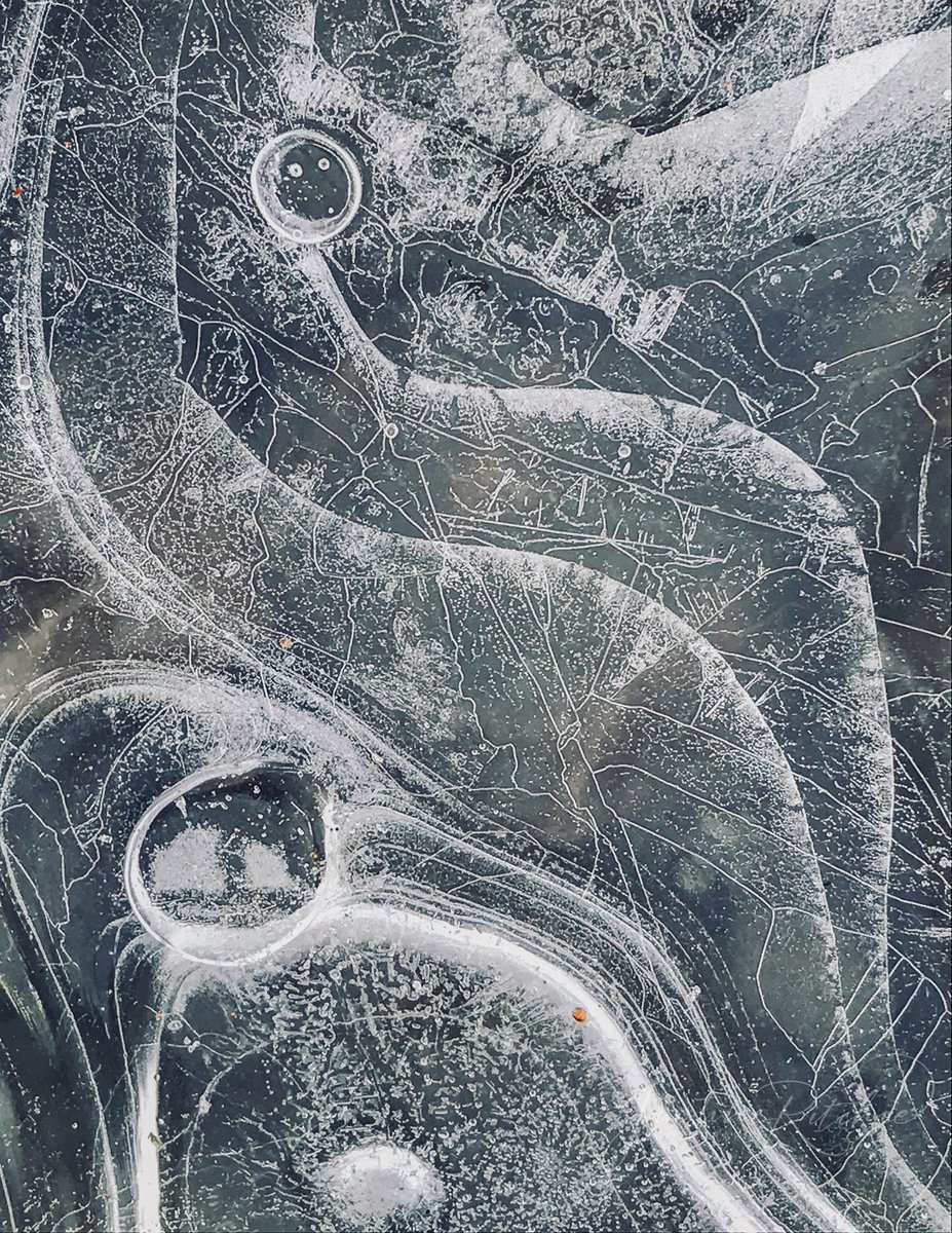 Ice Etching - One from a new series I'm working on entitled 'Impermanence'. Copyright 2021 Justine Ritchie. All Rights Reserved. #ice #impermanence #winter #intimatelandscape #outdoorphotography #mindfulphotography #etching #nature #natureconnections #ephemeral #abstract #fragile