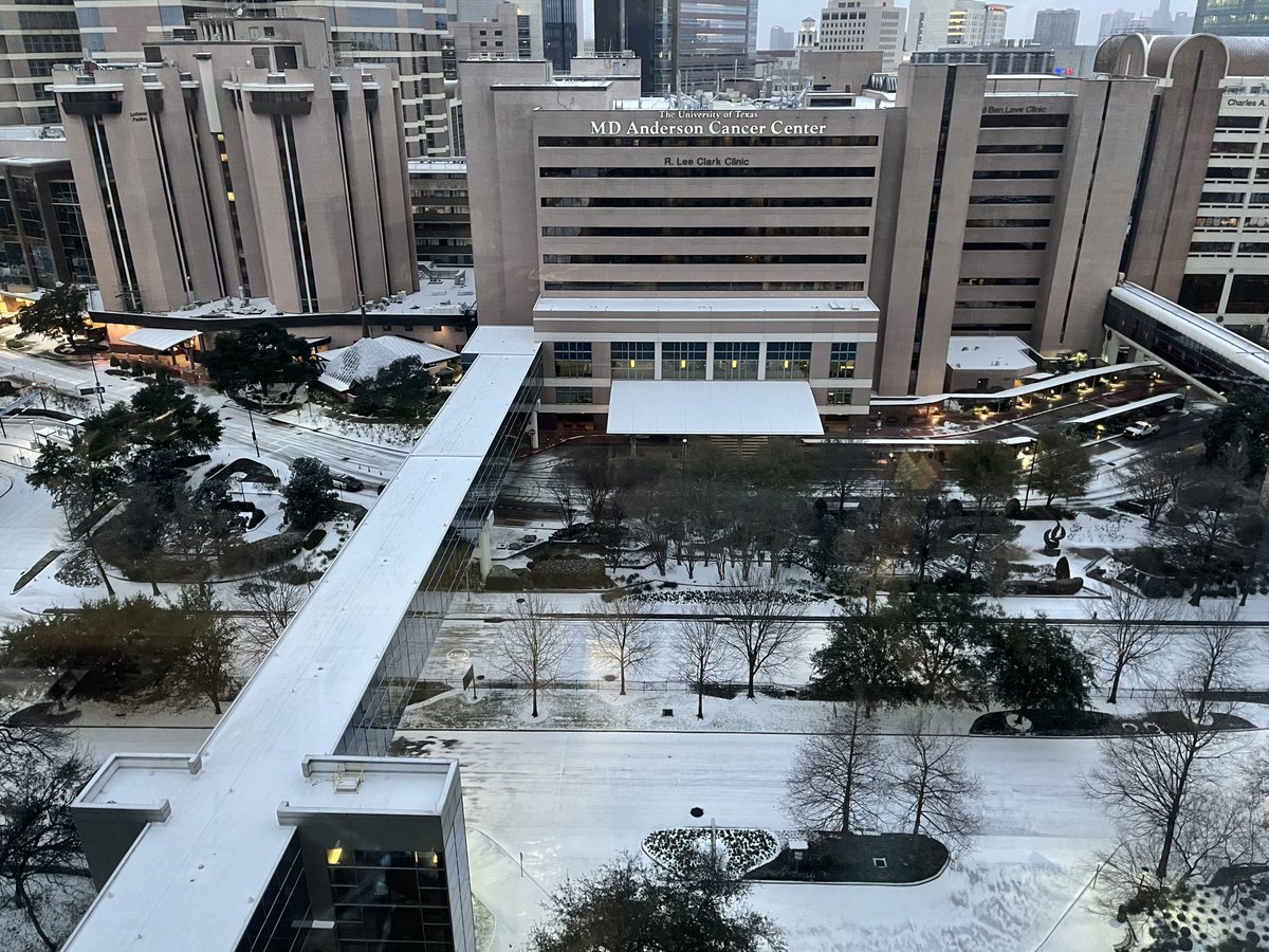 Holcombe blvd at first light. Surreal. Stay safe indoors.