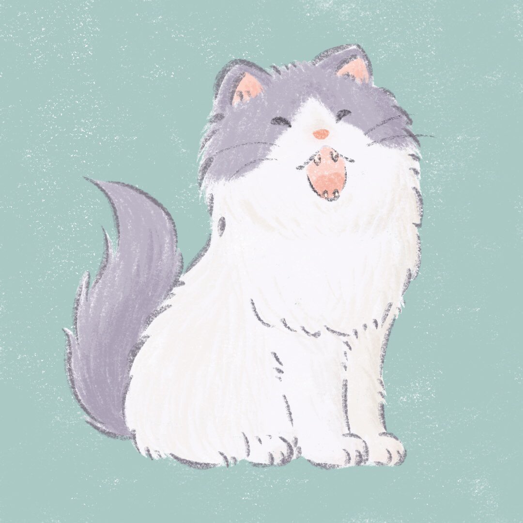 えびんぐ イラストレーター Instagramのハイライト用に猫のイラストを描きました せっかくなのでフリーアイコンとして配布しようと思います フリーアイコン 無料配布 イラスト ゆるいイラスト ゆるかわイラスト ほっこり かわいいイラスト