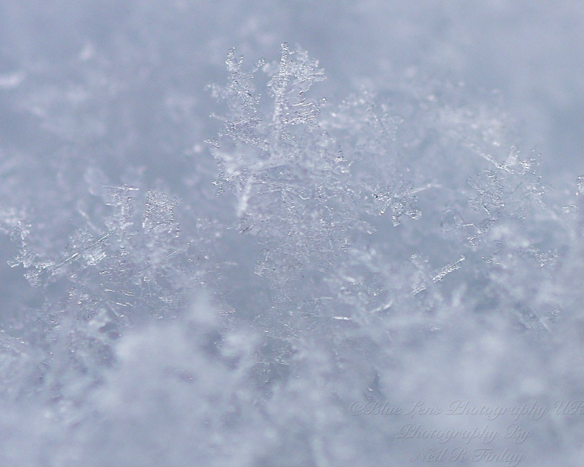 bluelensphotouk's tweet photo. #firstattempt at #snowmacro or #snowflakephotography in #colour and some #mono https://t.co/pTampg0eNB