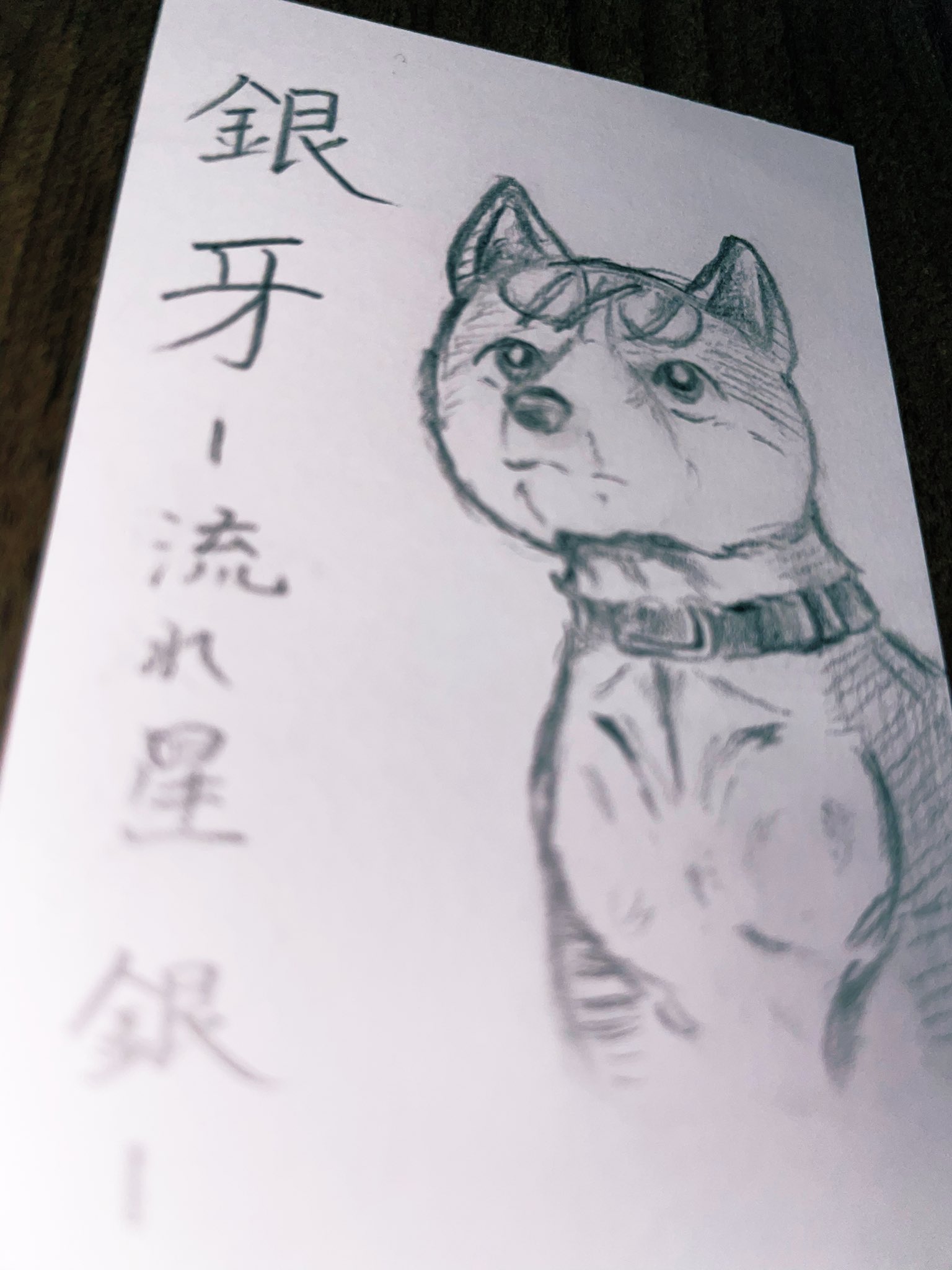 リキの飼い主 در توییتر 銀 銀牙 流れ星銀 イラスト リキの飼い主 در توییتر 銀 銀牙 流れ星銀 イラスト