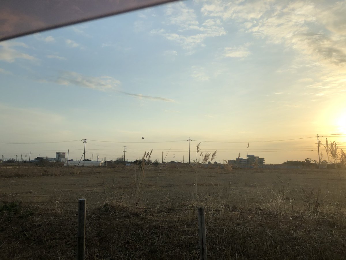 車を追い越してくれたり、朝日に向かったり、通勤中の方がチョウゲンボウに会えてる気が…カメラ持ってない…