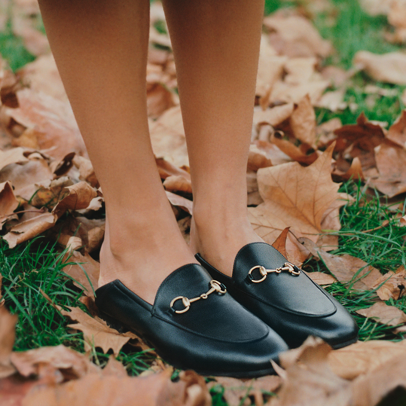 Horsebit Leather Loafers in Black - Gucci