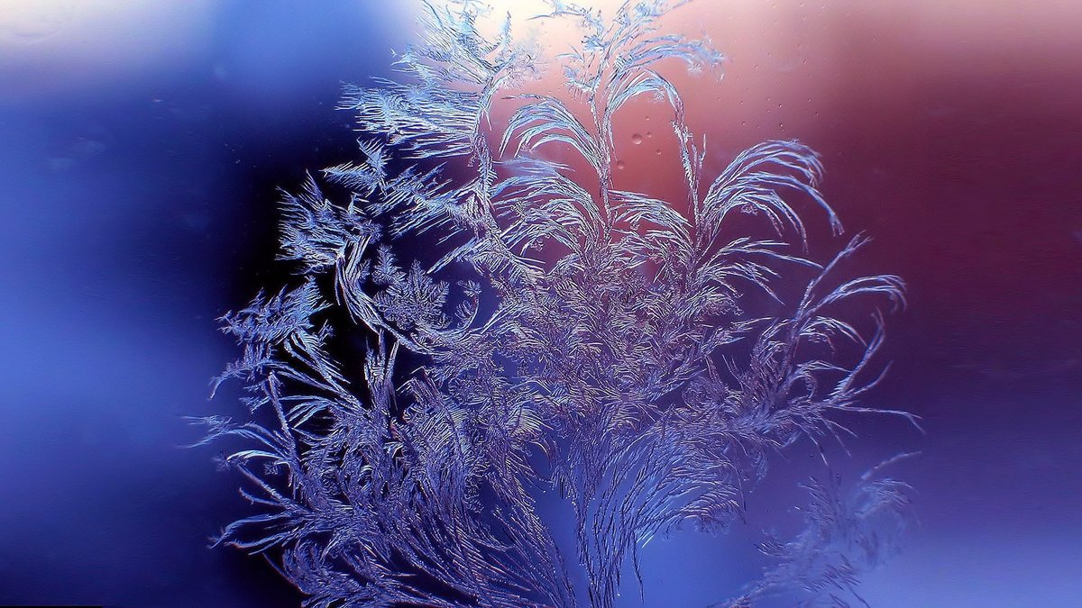 Зимний лес. Волшебный иней. Волшебный иней. Снежинки в природе. Иней на деревьях.