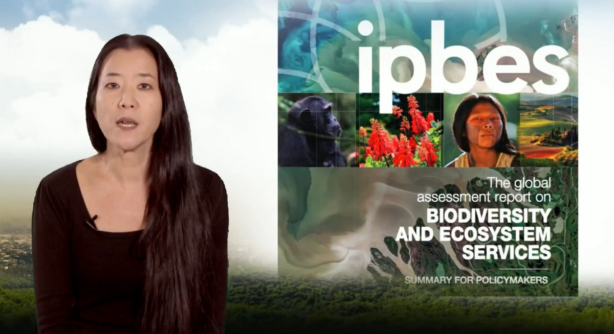 🍃Pas le temps ou l'envie de lire tout le rapport d'<a href="/ipbesfr/">IPBES en français</a> sur l'état de la #biodiversité au niveau mondial, ses causes et scénarios futurs ?🦋

🎥En seulement 10 mn, Yunne Shin de l'<a href="/ird_fr/">IRD.fr</a> vous en explique les conclusions principales avec <a href="/UntUved/">UVED</a> 

➡️youtube.com/watch?v=8F1HaN…