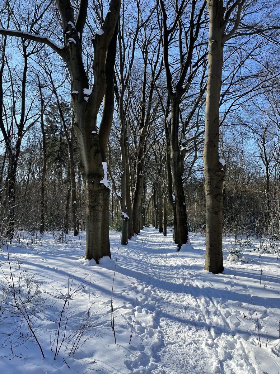 antalhartman photo