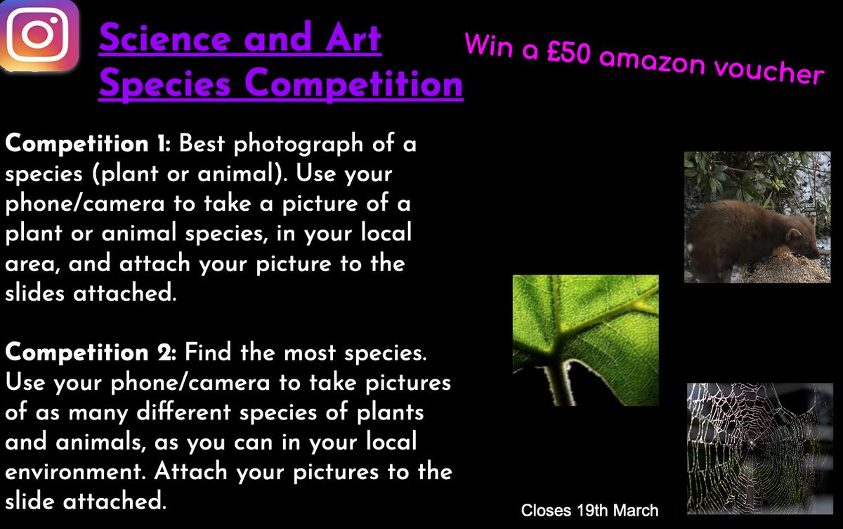 CHS_Science1's tweet photo. 📸📲🦋🦊🌲
Science and Art Photography Competition
🌟PRIZE: £50 Amazon voucher 😱
See details below:
Any ?s email: aishling.masterson@ourcloud.buzz https://t.co/b8S8NUZRIG