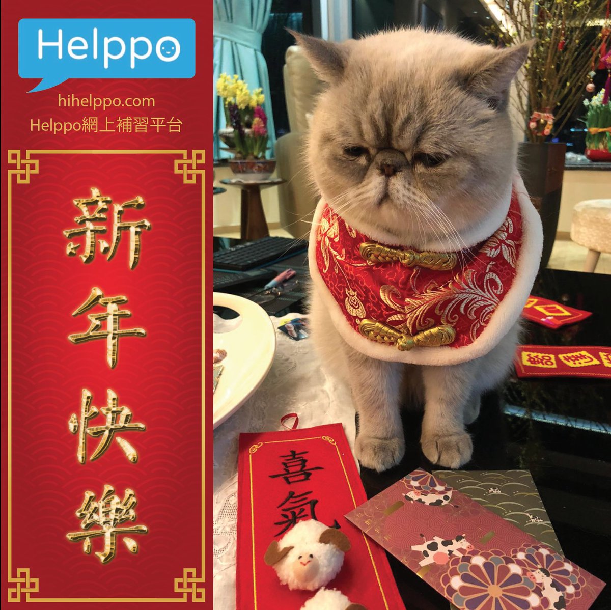 Helppo (@helppo5) on Twitter photo 