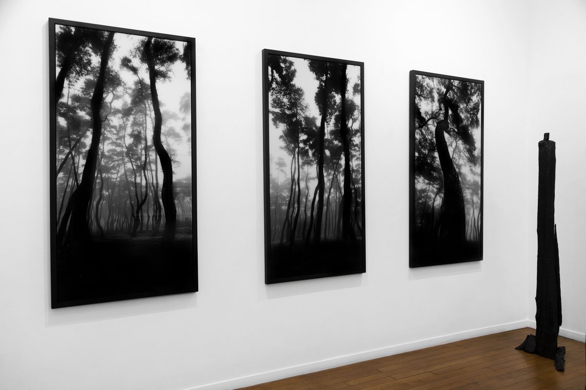 observascope's tweet photo. Some pictures of Bae Bien U Art exhibition in Galerie RX Paris soon travelling in NYC @GALERIERX
 
Pictures 
@TheoPitout @observascope
  
#baebienU #galerierx #observascope #paris #nyc #artcontemporain #photography #art #koreanart https://t.co/GYUUSOohyH