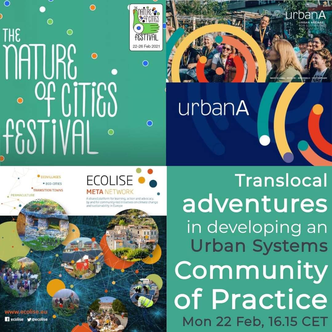 Translocal adventures in developing an Urban Systems Community of Practice