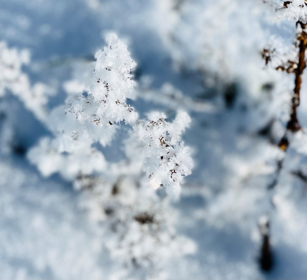 xplanatorium's tweet photo. Why Herrenhäuser Symposium digital? Not only because of the pandemic, digital symposia are currently the choice for scientific events. It also enables us to welcome up to 400+ guests worldwide, despite the wintry weather. @VolkswagenSt #Xplanatoriumdigital #ReusingChuches https://t.co/oklTpSOOw8