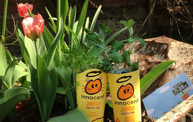 innocent's tweet photo. CALLING ALL TEACHERS

Sign up for one of our free Big Grow kits here: https://t.co/tSDOBBG2Oj 

They have everything you need to get a class full of kids growing their own veg. Perfect for when everyone’s back in the classroom in 2024 or so. https://t.co/YWVTRfBJR1