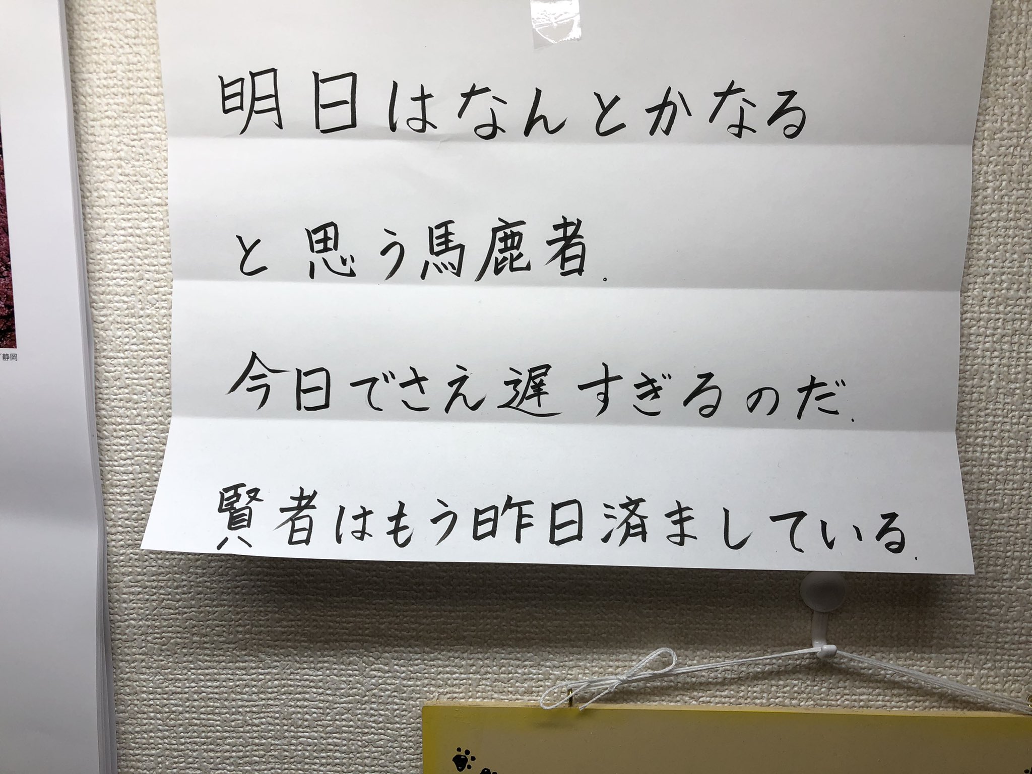 ট ইট র のだ ポッドキャスター 妹の机の前にこんな張り紙が どうやら僕は馬鹿者らしい 尊敬します チャールズ クーリー 名言 妹 ট ইট র のだ ポッドキャスター 妹の机の前にこんな張り紙が どうやら僕は馬鹿者らしい 尊敬します チャールズ クーリー 名言 妹