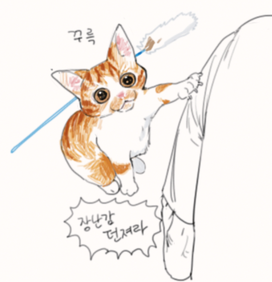 korean text cat cat teaser white background animal focus simple background animal  illustration images