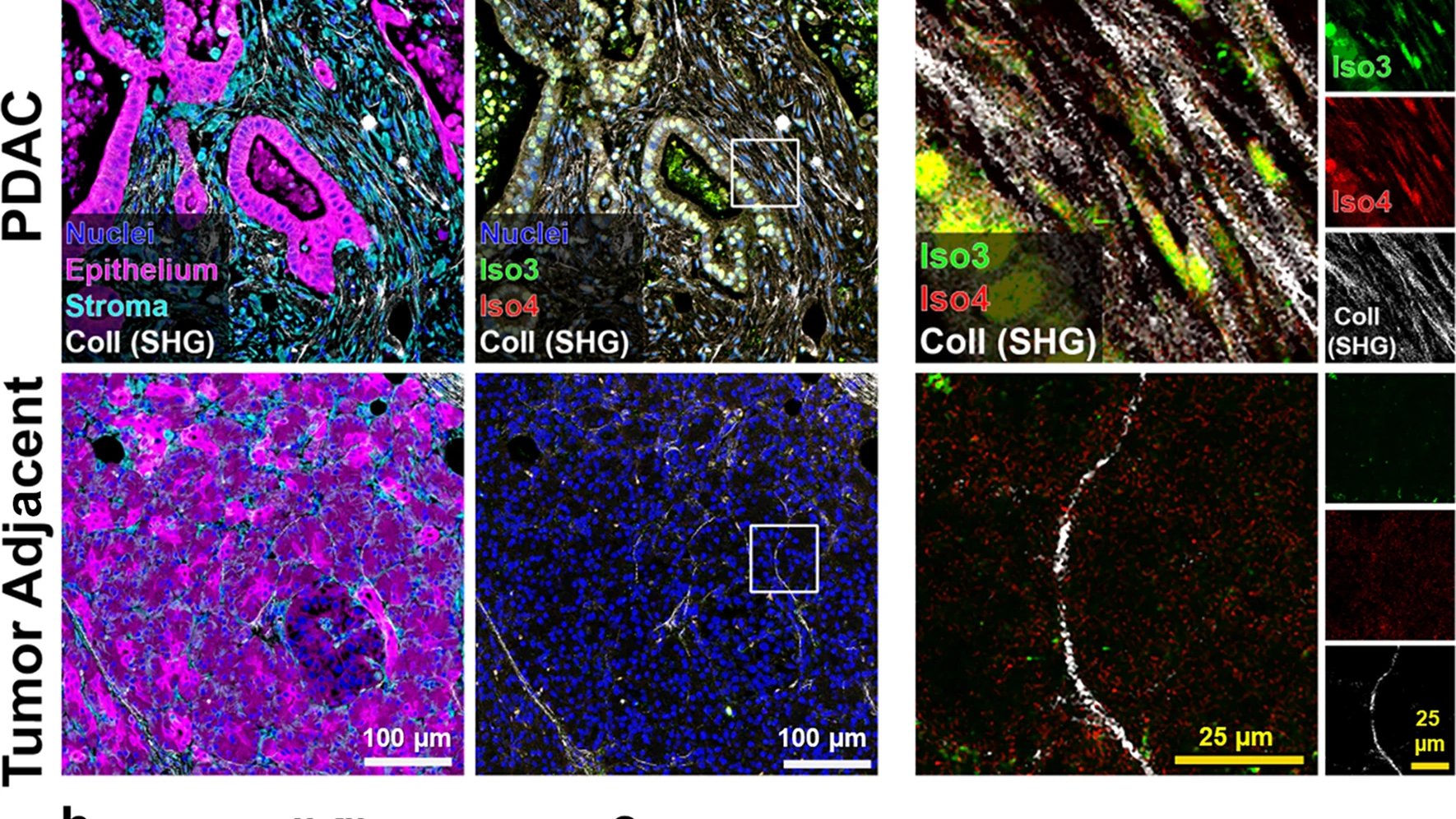 Kris Raghavan, PhD (@kris_raghavan) / Twitter