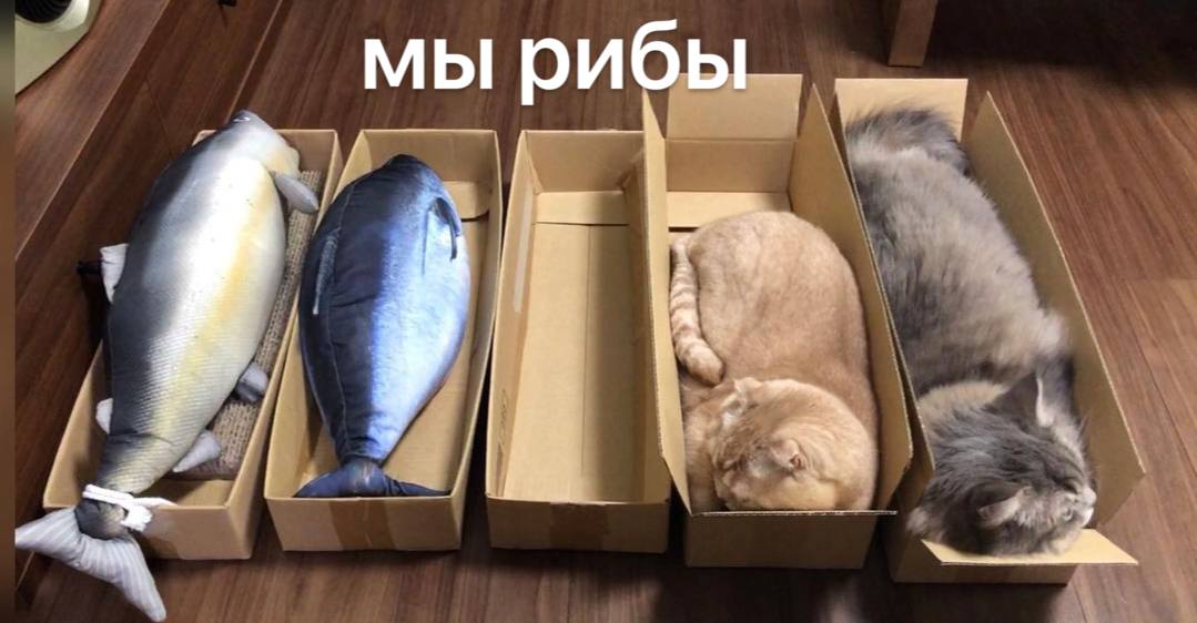 менеджер по еде tweet media