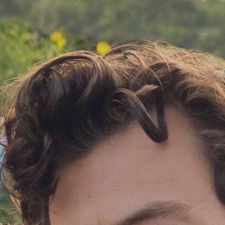 HSFEATURES's tweet photo. Harry Styles’ curls. https://t.co/v7FYJPXmxg