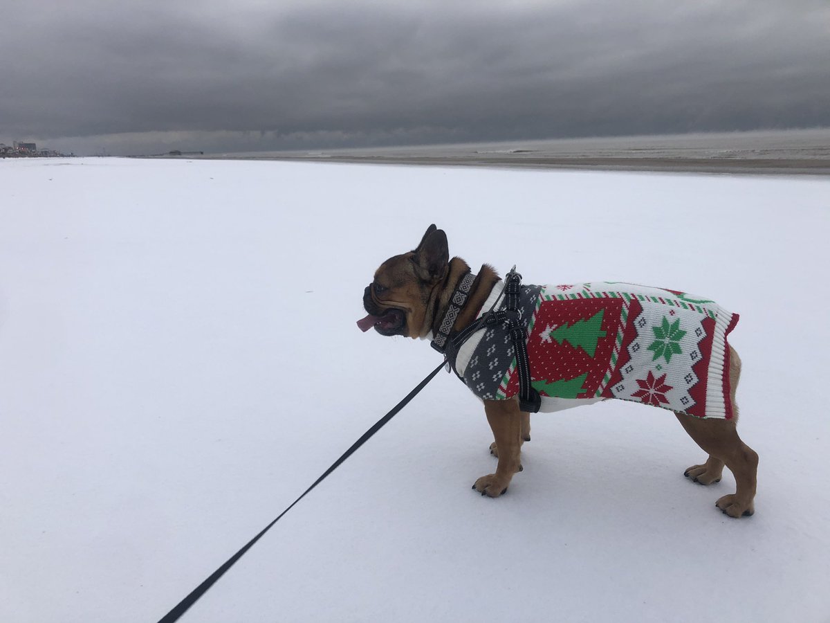 MMears_'s tweet image. This is the best day of her life. #SNOWDAY!!!