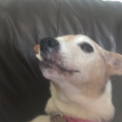 xx_emiilly's tweet photo. #NewProfilePic https://t.co/onc4u1Ycuu