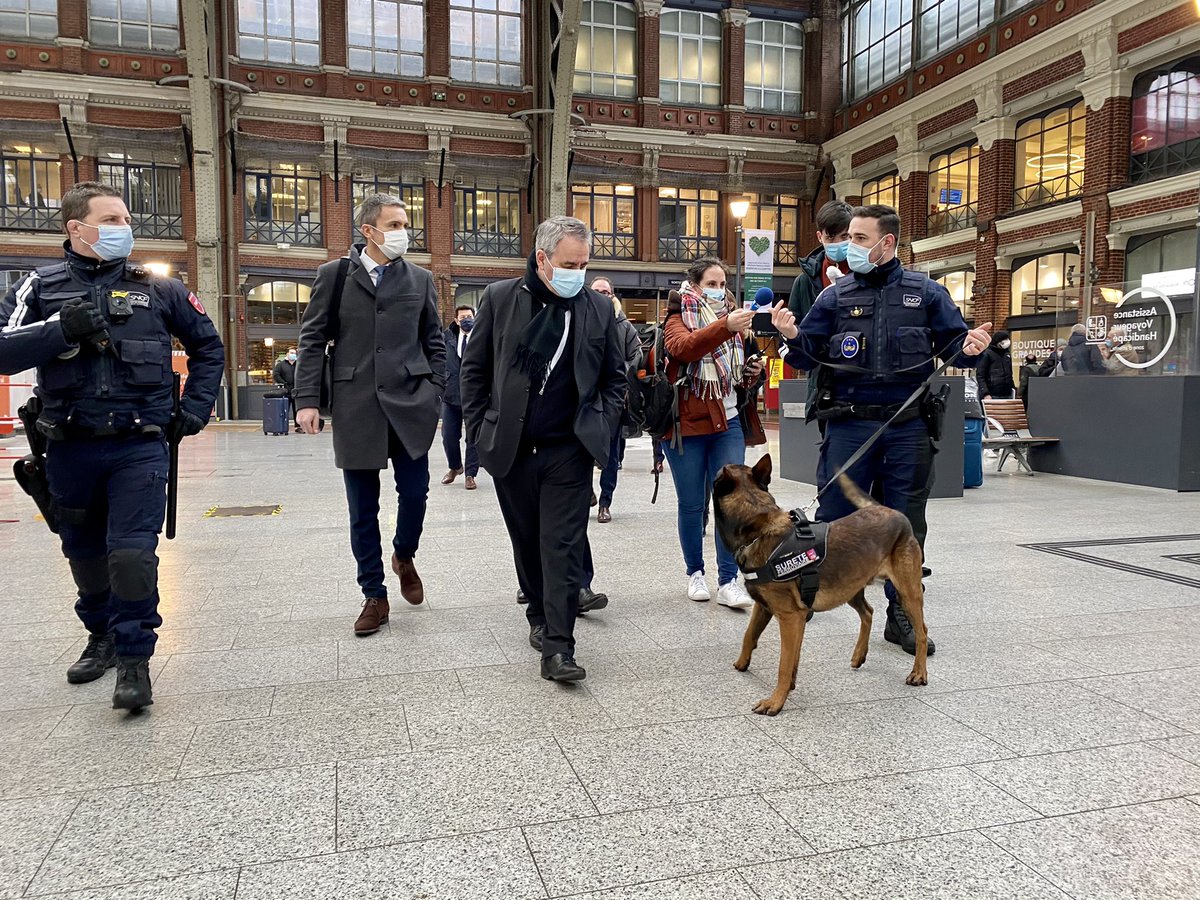 Frédéric GUICHARD tweet media