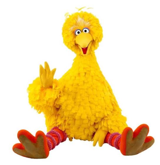 tcbdband's tweet photo. Scientist have told us that dinosaurs were essentially Birds. And modern birds are essentially small dinosaurs. In conclusion Big Bird is a dinosaur. https://t.co/vKRSNcflHs