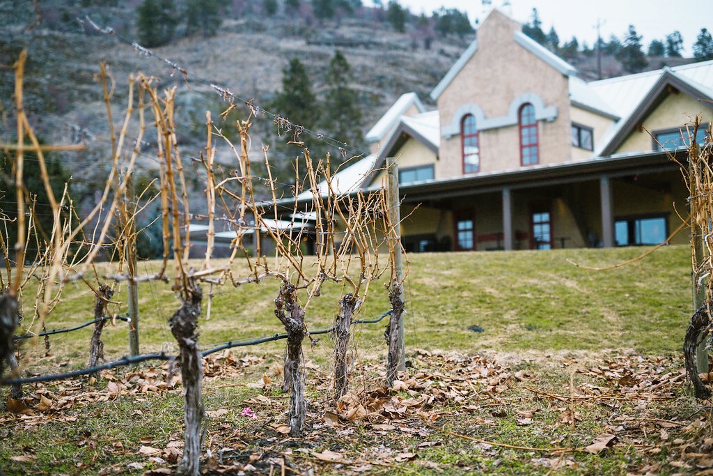 The stage is set on the Naramata Bench for another season of winemaking. The vines are ready to be pruned in preparation for the first buds, which will appear in the spring. #RRW
