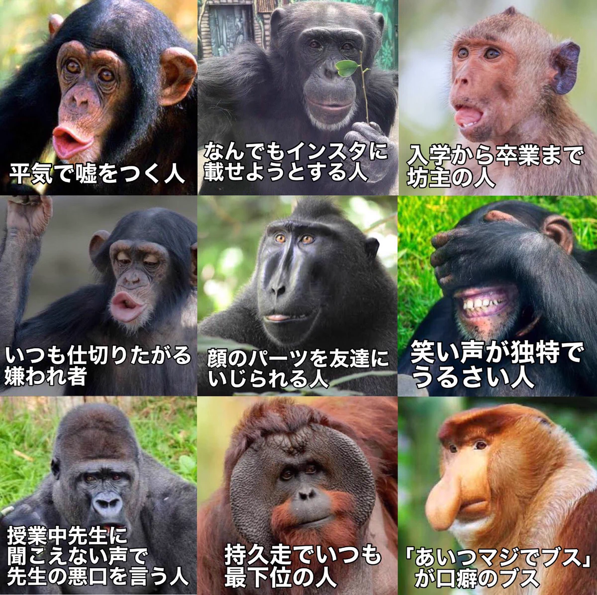クラスに1人はいる人達www心当たりある人も多いはず！！