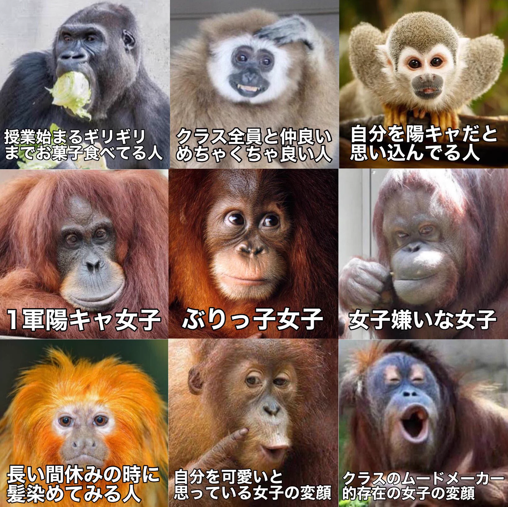 クラスに1人はいる人達www心当たりある人も多いはず！！