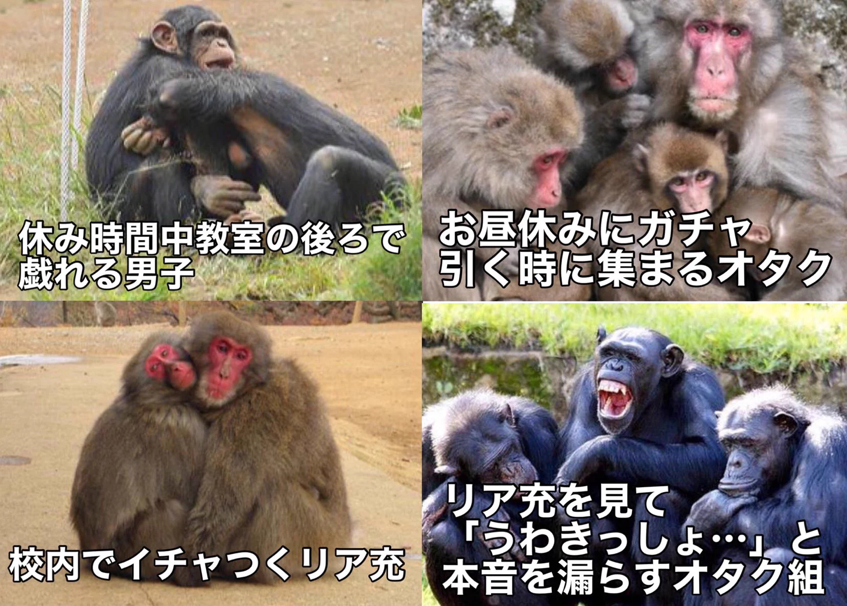 クラスに1人はいる人達www心当たりある人も多いはず！！