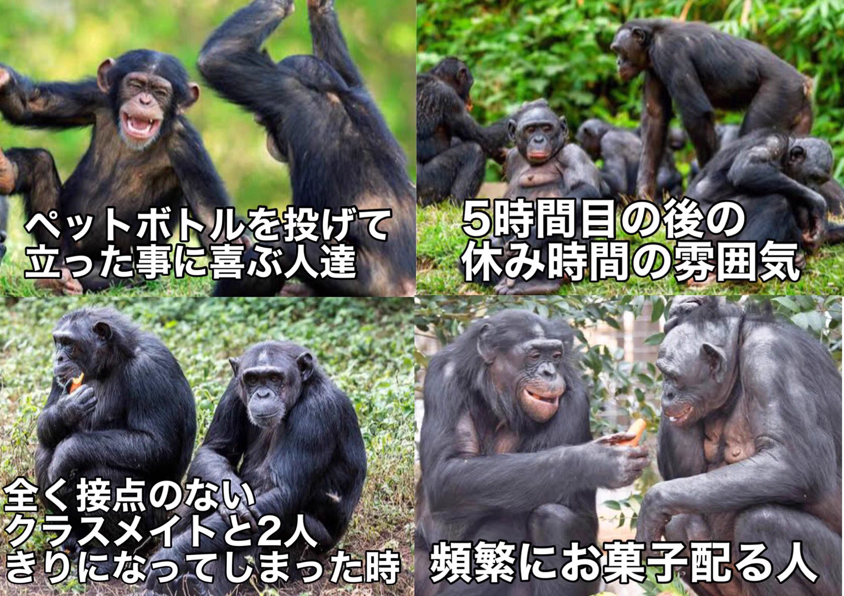クラスに1人はいる人達www心当たりある人も多いはず！！