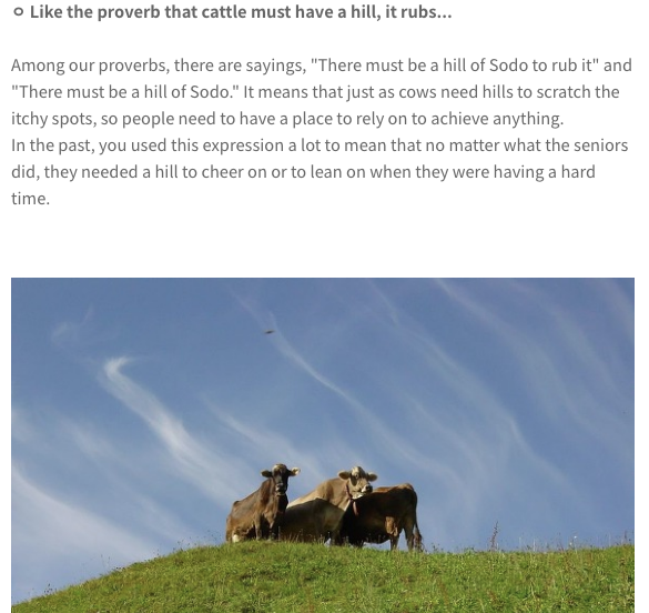 So Bibilly Hills is classic RM wordplay that's a wink from both Korean and English views. 비빌 언덕 translates as a hill that you can rub against from a Korean proverb "even a cow needs a hill to rub against when he's itchy"