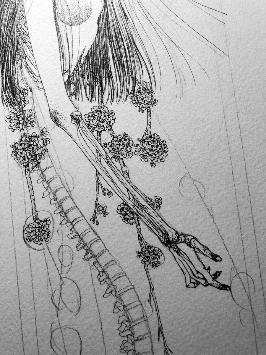 今日はこの辺を描きました 