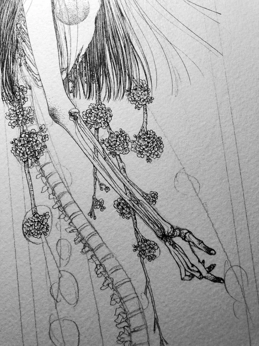 今日はこの辺を描きました 