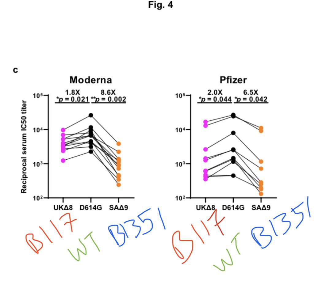 14) Here are vaccine and  #B1351 &  #B117 neutralization assays versus blood from people who got the Pfizer and Moderna vaccines. we don’t have direct efficacy data yet from trials, so this is the best we got. Much worse for  #B1351.  #B117 semi okay.  https://www.biorxiv.org/content/10.1101/2021.01.25.428137v2.full.pdf