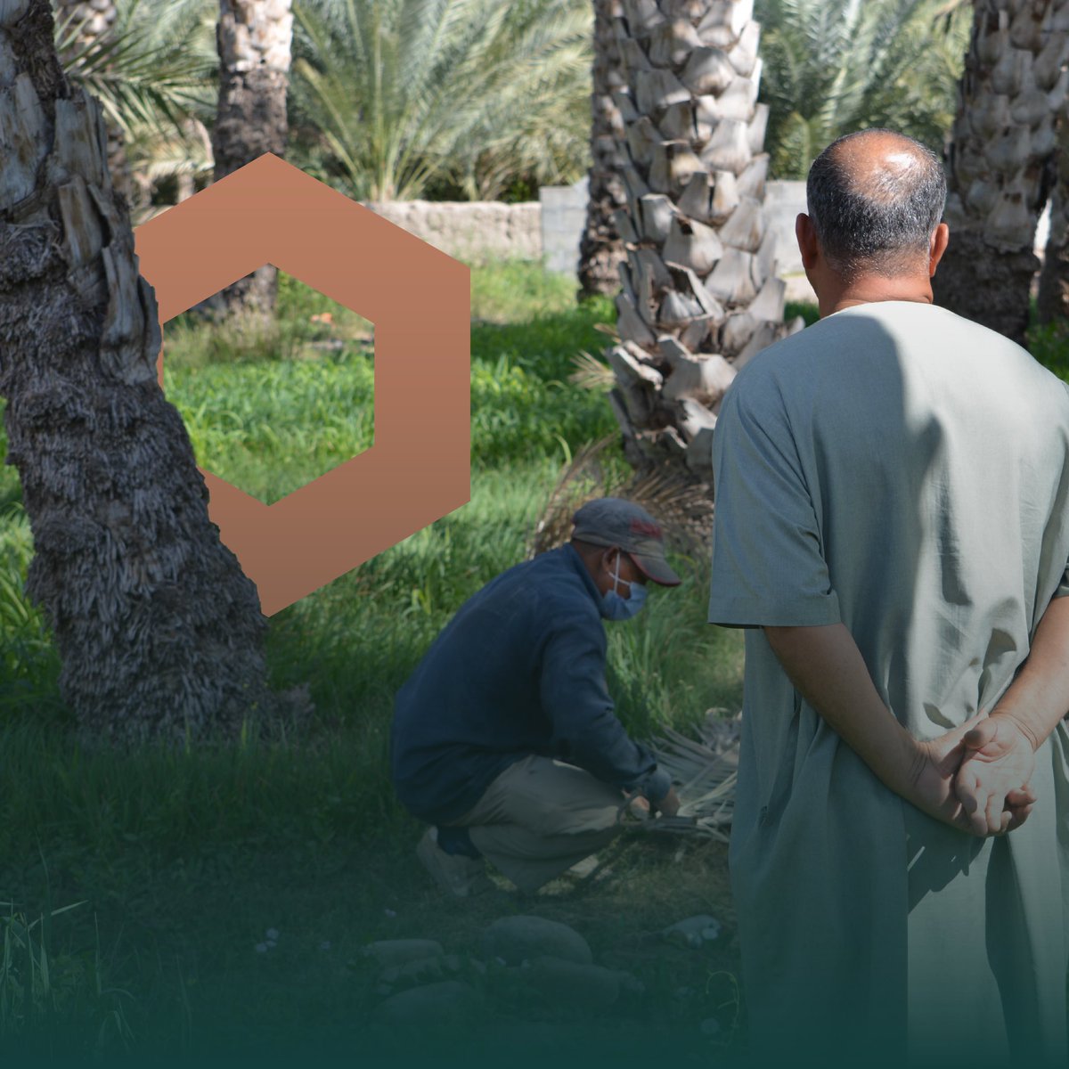 الوالد حتى و هو يودع زوراته من 
مزرعته جالس فوق رأس الشغل،

بس ما عليكم، واثق انهن بيكونن في أيدي أمينه😌

الوالد يتوقع انه بيكون فخور بالمنتج إلي راح تساهم زوراته فيه، و انتوا إيش توقعاتكم؟؟ 😎✌🏼

.
.
<a href="/Injaz_Oman/">إنجاز عمان</a> 
#إنجاز_عمان
#برنامج_الشركة
#injaz_oman