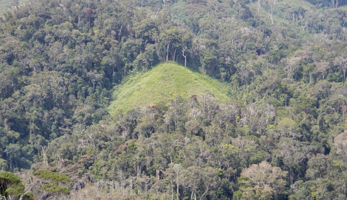 6) These findings contribute to understand trade-offs between meeting global biodiversity conservation and climate change mitigation objectives and the needs of local populations under conservation interventions.