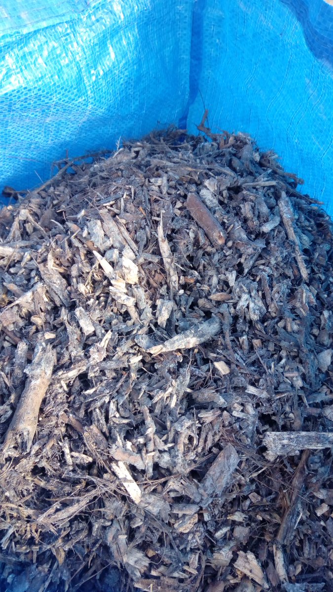 lleidaenverd's tweet photo. 🍃🍂🐛Dissabte vam repartir material estructurant (restes de poda picada) als usuaris que ja tenen el compostador a casa seva i no disposen d'aquest material. 

#Jofaiglleidaenverd #compostatgelleida #soillovescompost https://t.co/4Me00TgKTO
